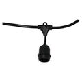 American Lighting Black 100-Foot Suspended Medium Base String Light LS-MS-24-100-BK